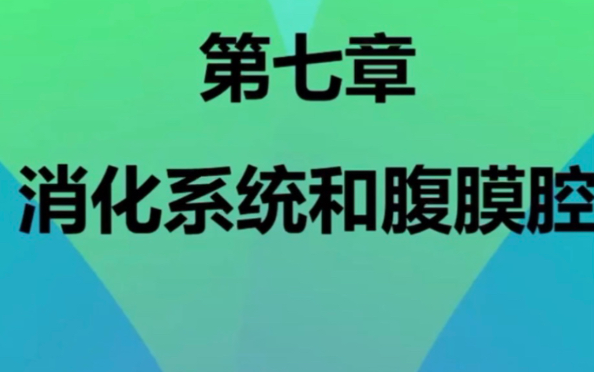 [图]8版医学 影像学【消化系统】