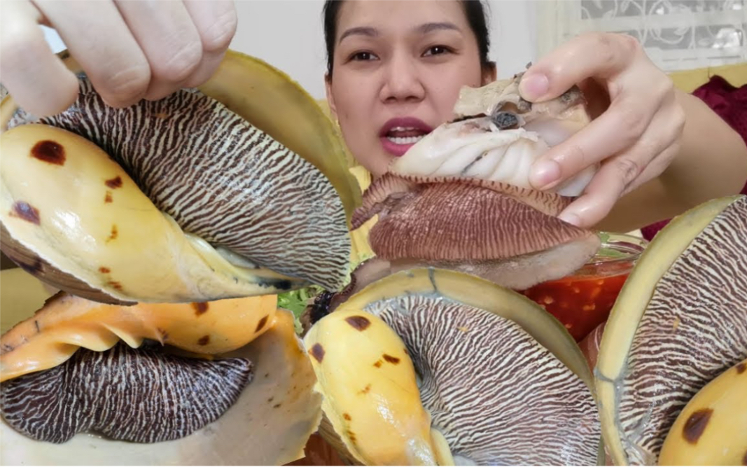 第一次食用海蜗牛75辣酱食谱 如何煮海蜗牛香脆