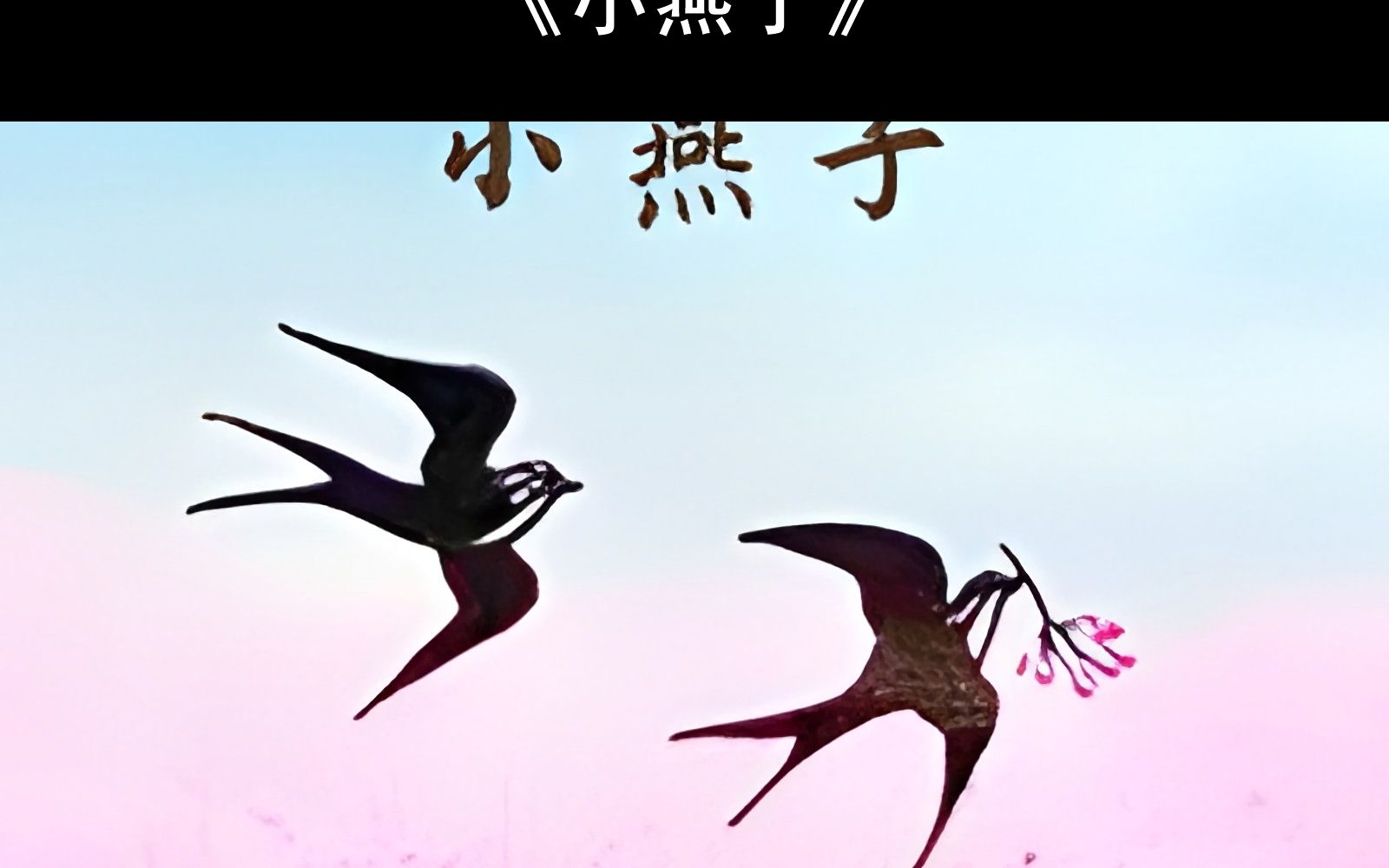 【附钢琴谱】小燕子钢琴谱 小燕子简谱 小燕子钢琴教学教程 小燕子五线谱 小燕子双手数字简谱哔哩哔哩bilibili