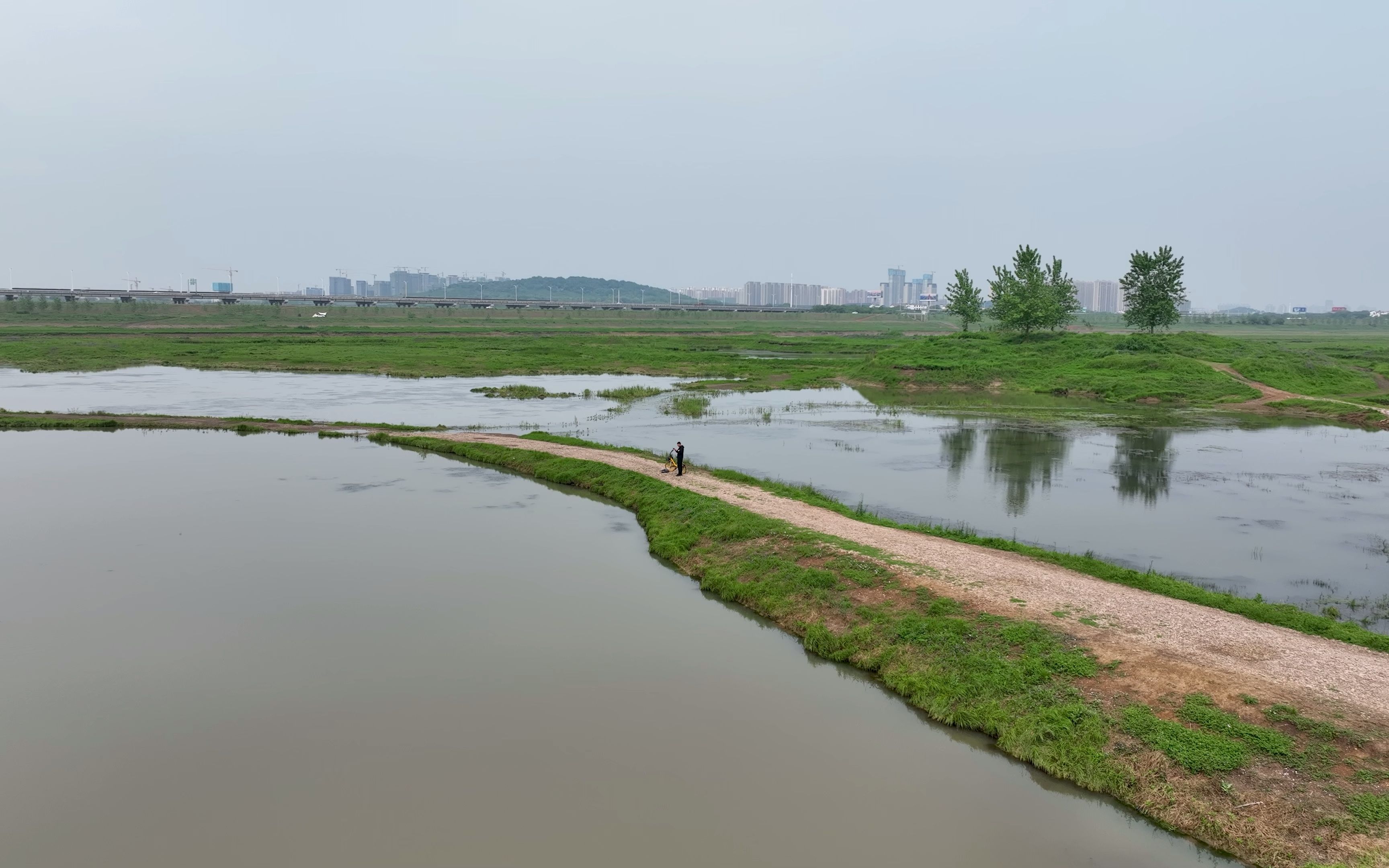 府河湿地图片