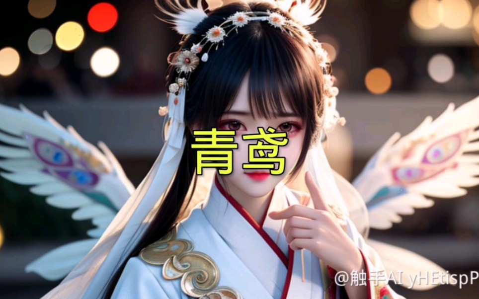 青鸢哔哩哔哩bilibili