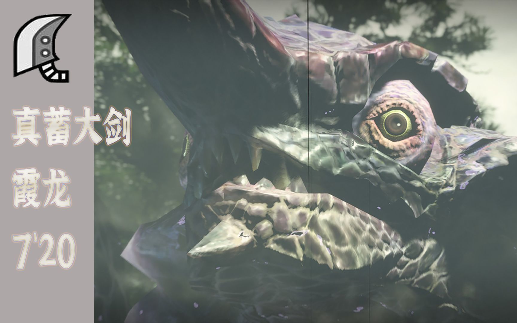 怪物猎人崛起真蓄大剑霞龙初试720