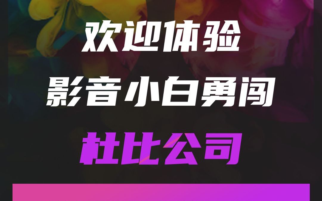 欢迎体验,影音小白的我勇闯,杜比公司学习的一天哔哩哔哩bilibili