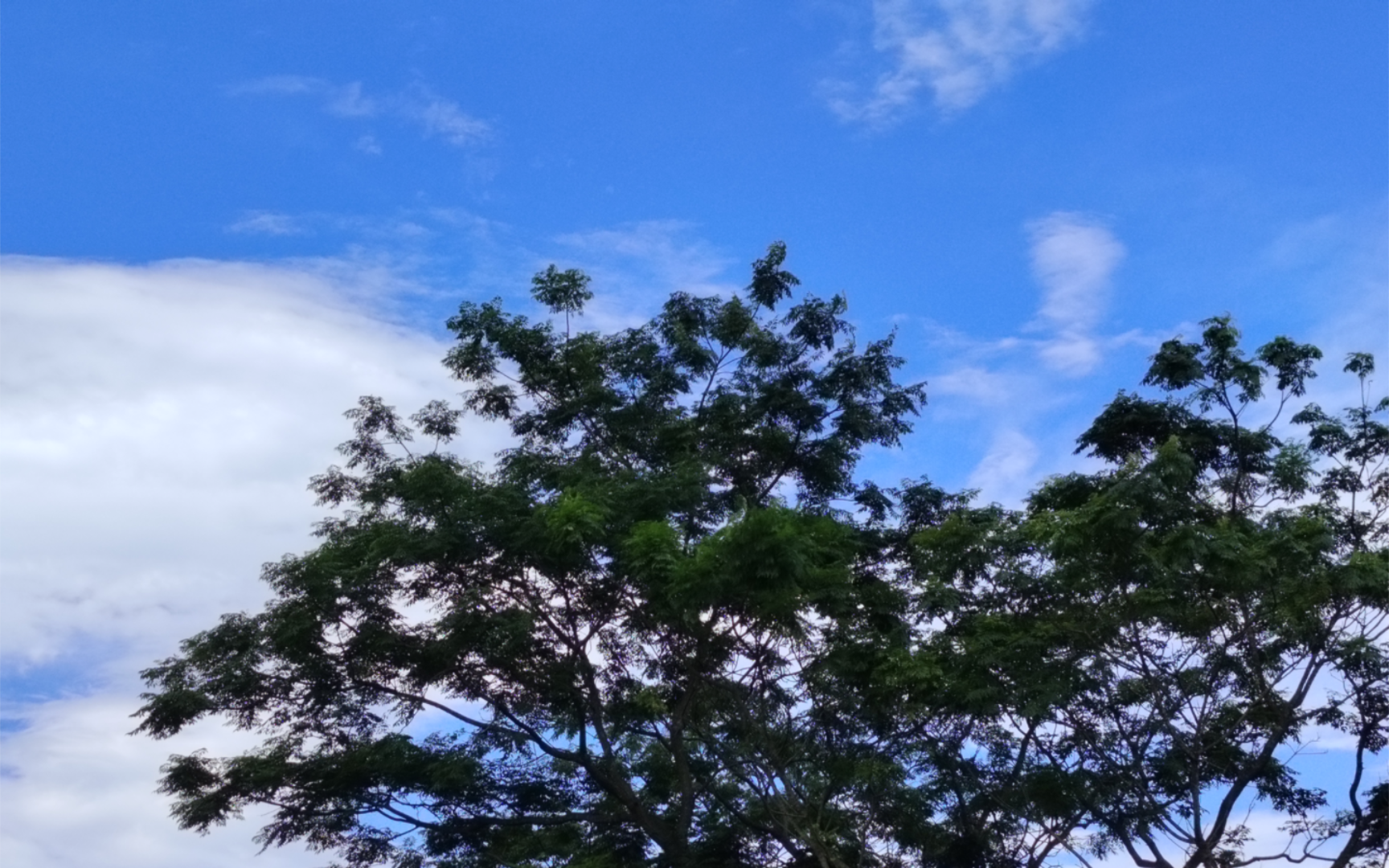 [图]【治愈系】夏日的乡村