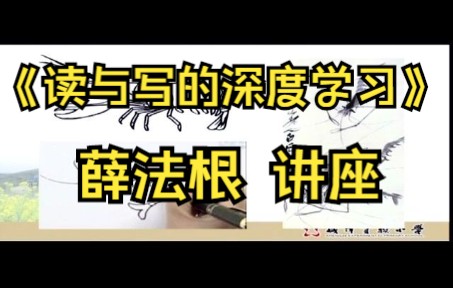 名师课堂:薛法根讲座《读与写的深度学习》如何读书写作文哔哩哔哩bilibili