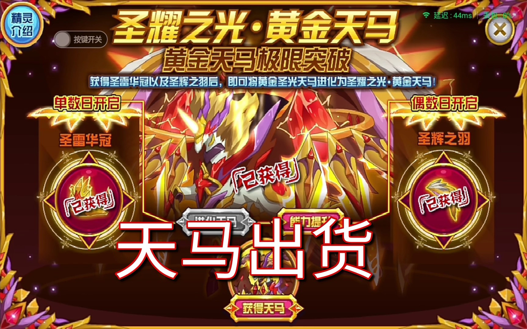 [神谕精灵补完计划]圣耀之光黄金天马出货