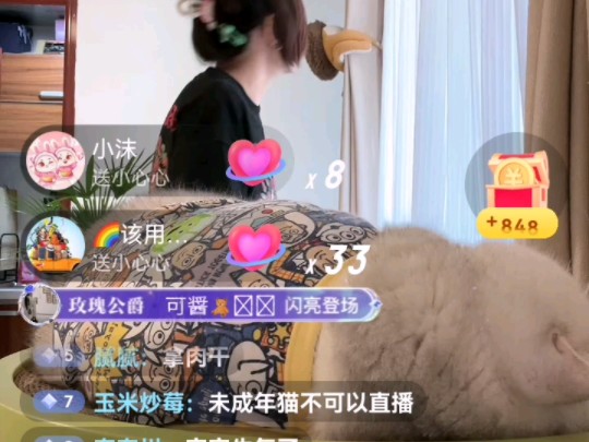 职业假笑芬儿头,生活不易,猫猫卖艺哔哩哔哩bilibili