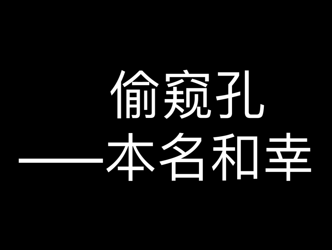 《孔中窥见真理之貌》哔哩哔哩bilibili