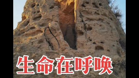 生命在呼唤,长城在坚守!