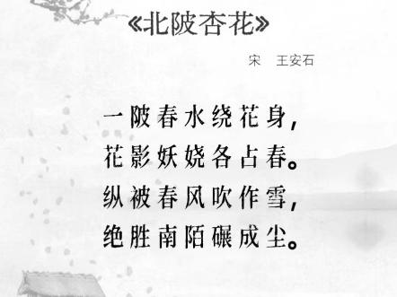 北陂杏花王安石拼音版图片