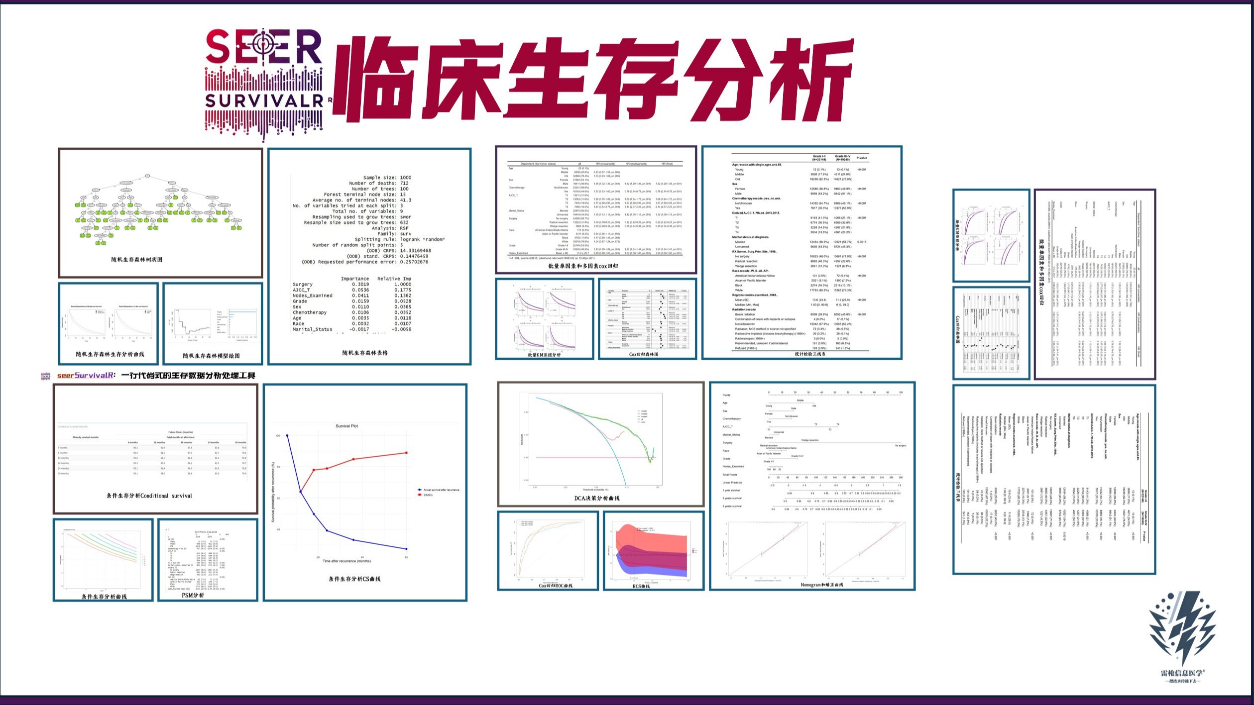 seerSurvivalR最全临床生存数据分析实战,SCI速战速决哔哩哔哩bilibili