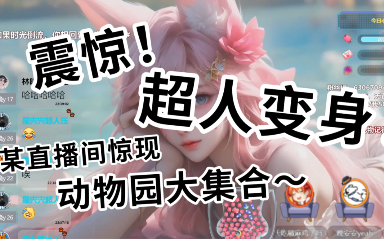 【直播切片/超人变身】三大超人变身/动物园大集合!哔哩哔哩bilibili