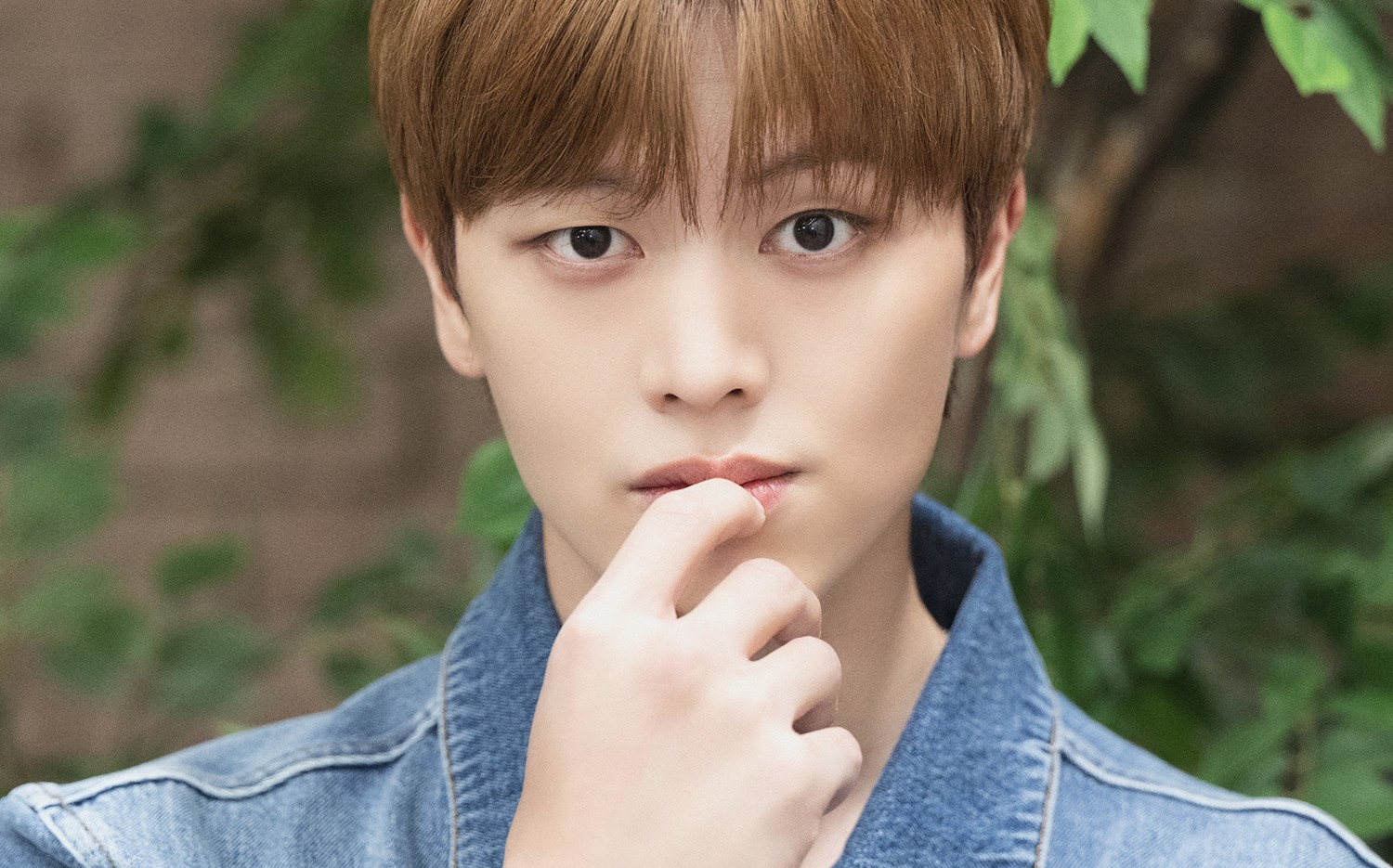 【陆星材】wind and wish舞台合集