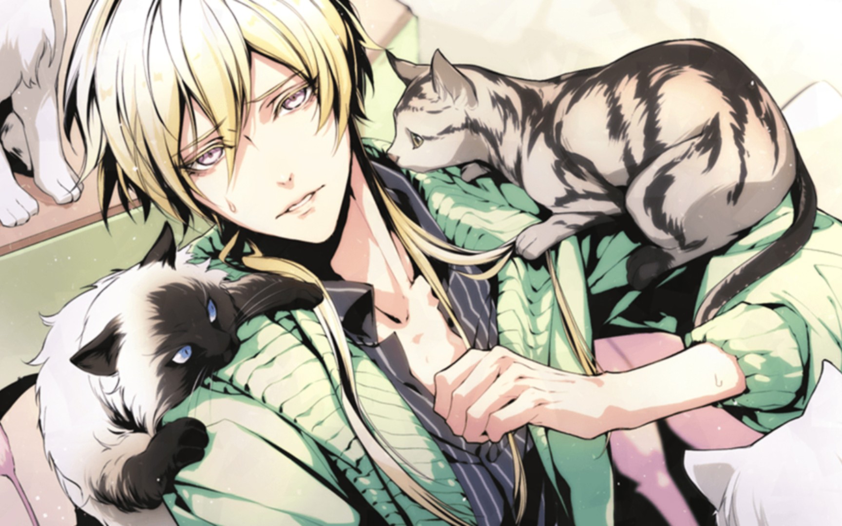 『variable barricade 』百密一疏少女心~黛汐音lv1.