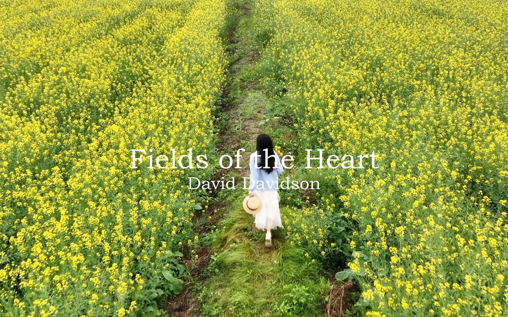 [图]David Davidson - Fields of the Heart