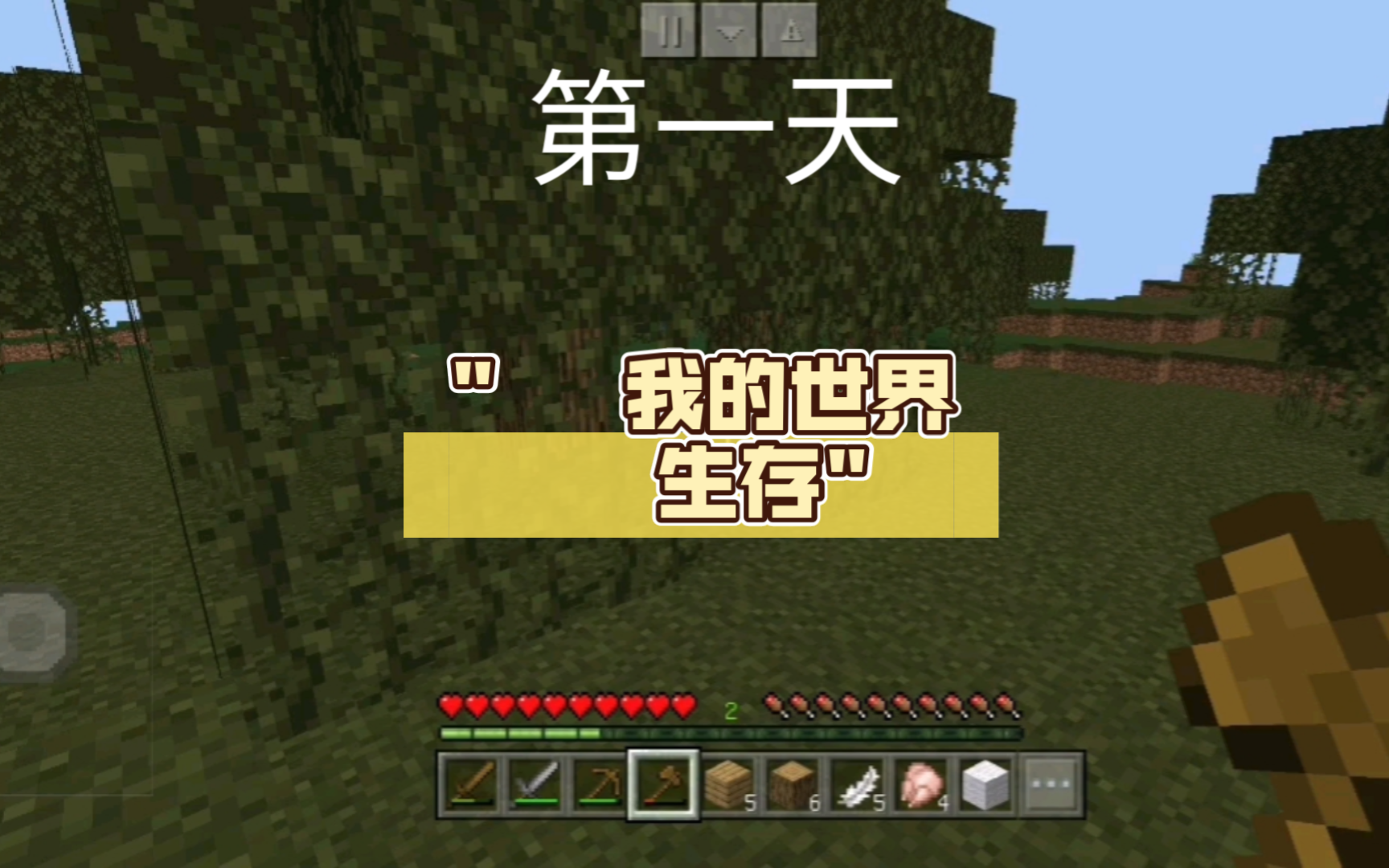 我的世界(生存)