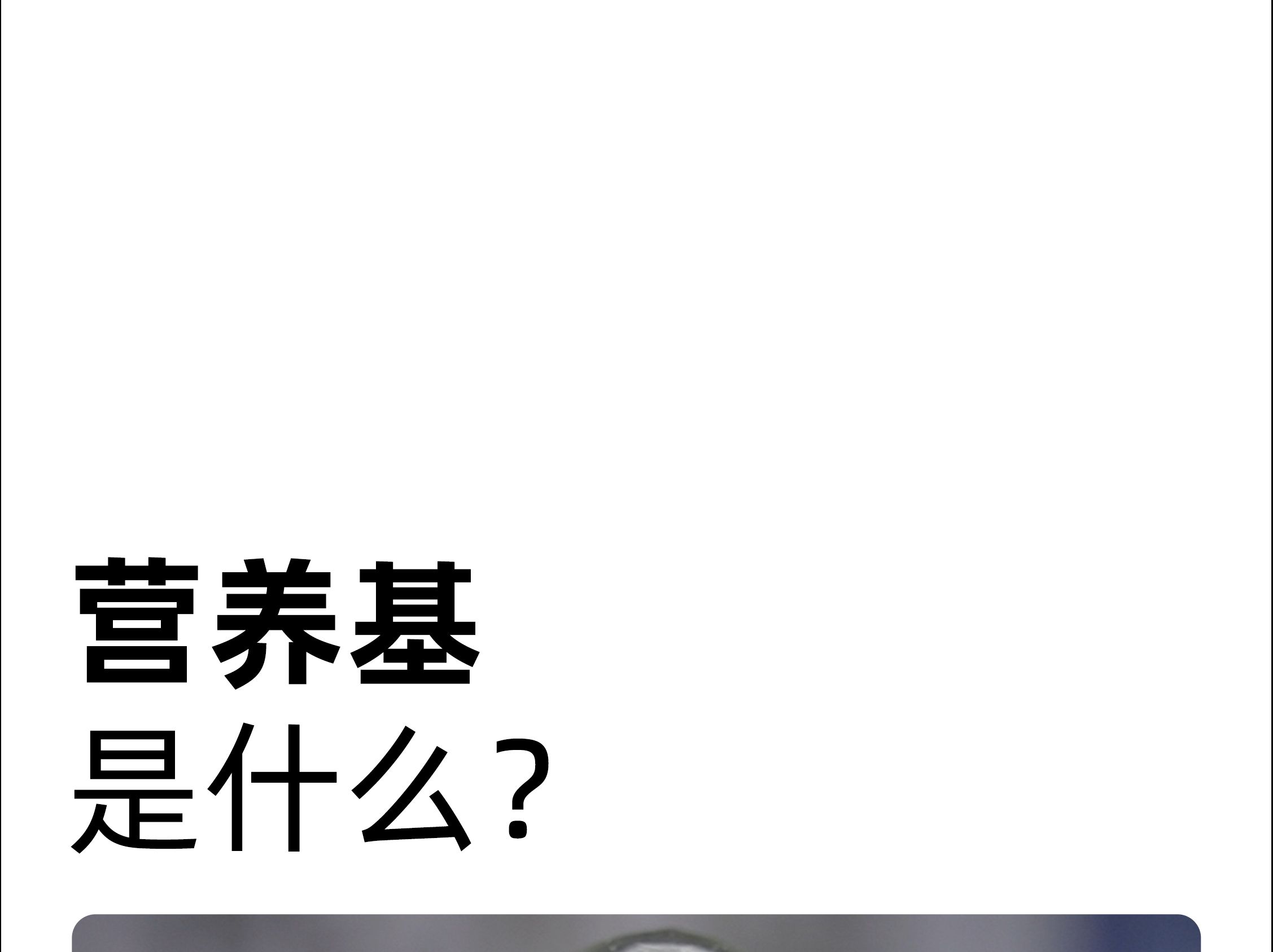 营养基是什么?今天一个视频告诉你营养基是什么哔哩哔哩bilibili