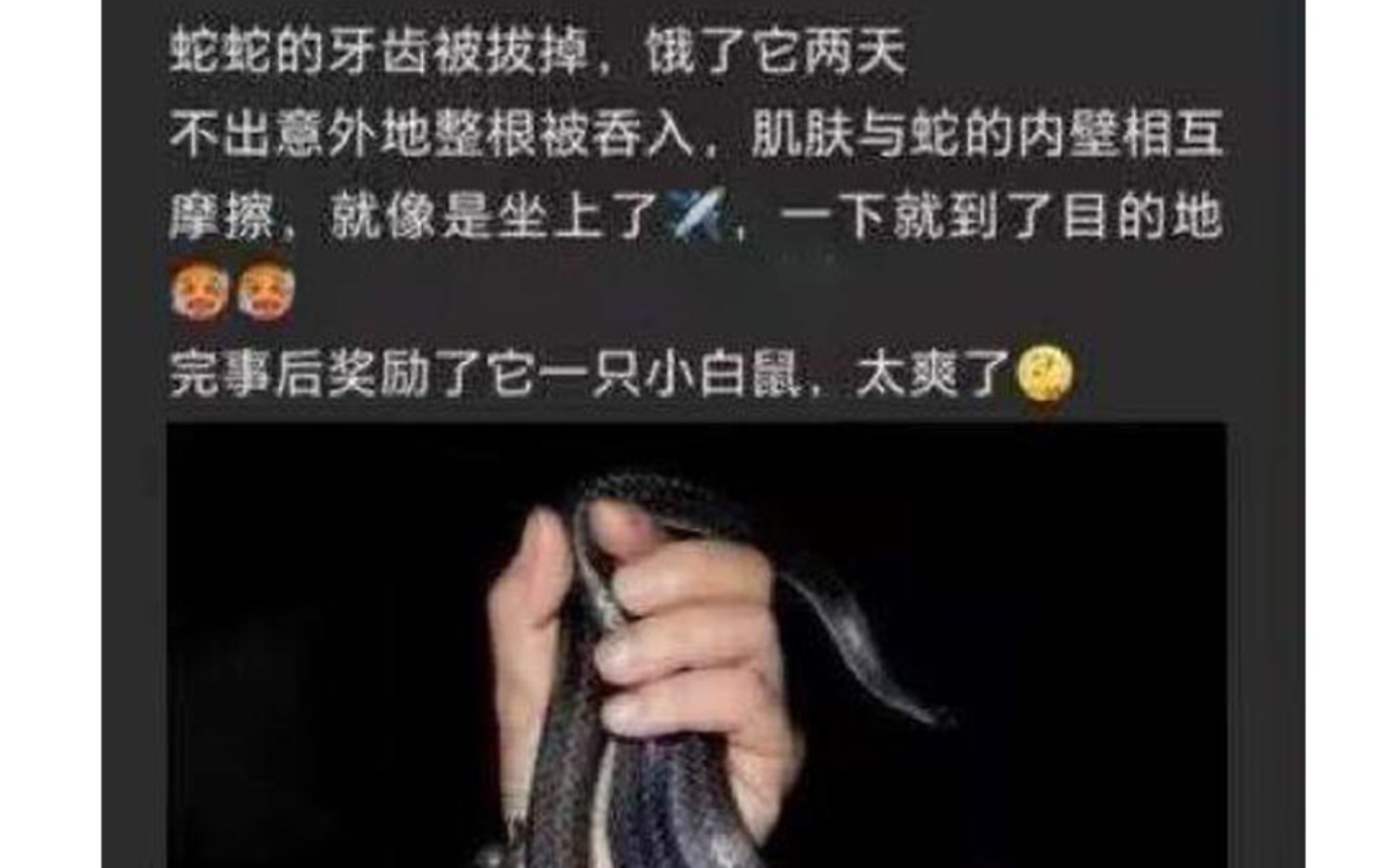 [沙雕图片]蛇:我这辈子遭了什么罪?哔哩哔哩bilibili