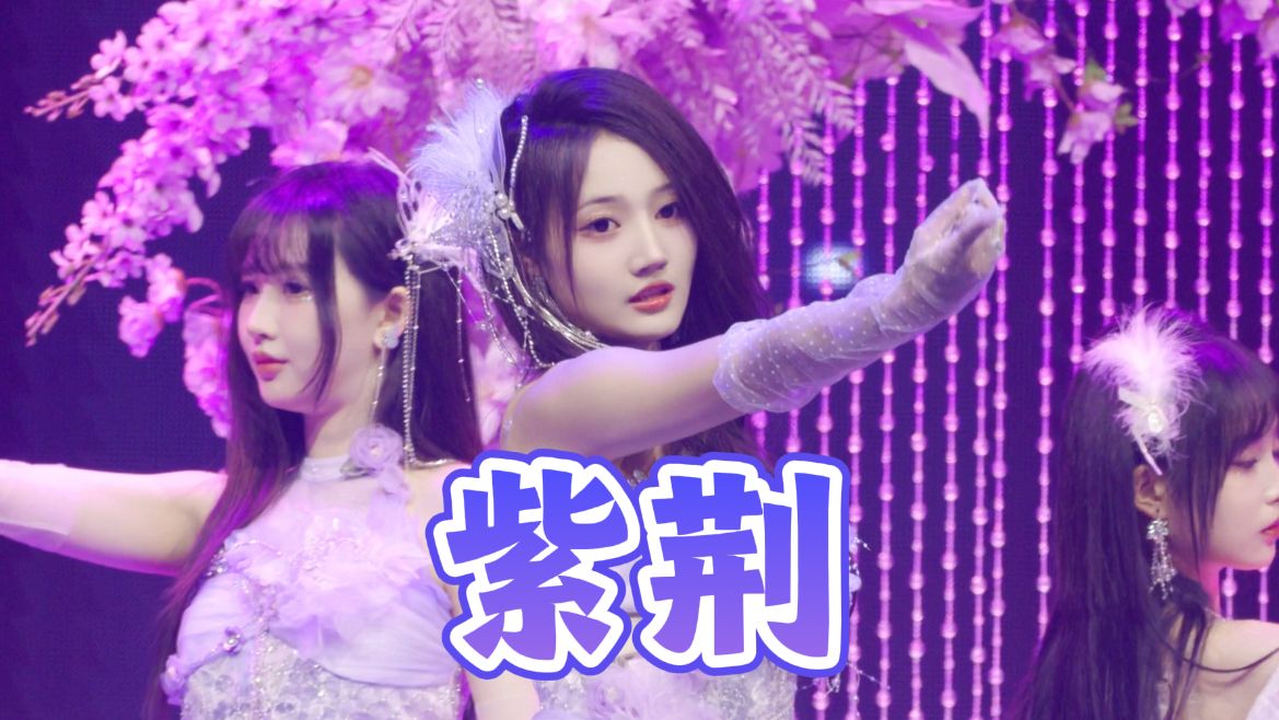 【周是汝】2024.1.13 snh48第十届年度金曲大赏《紫荆》focus哔哩哔哩bilibili