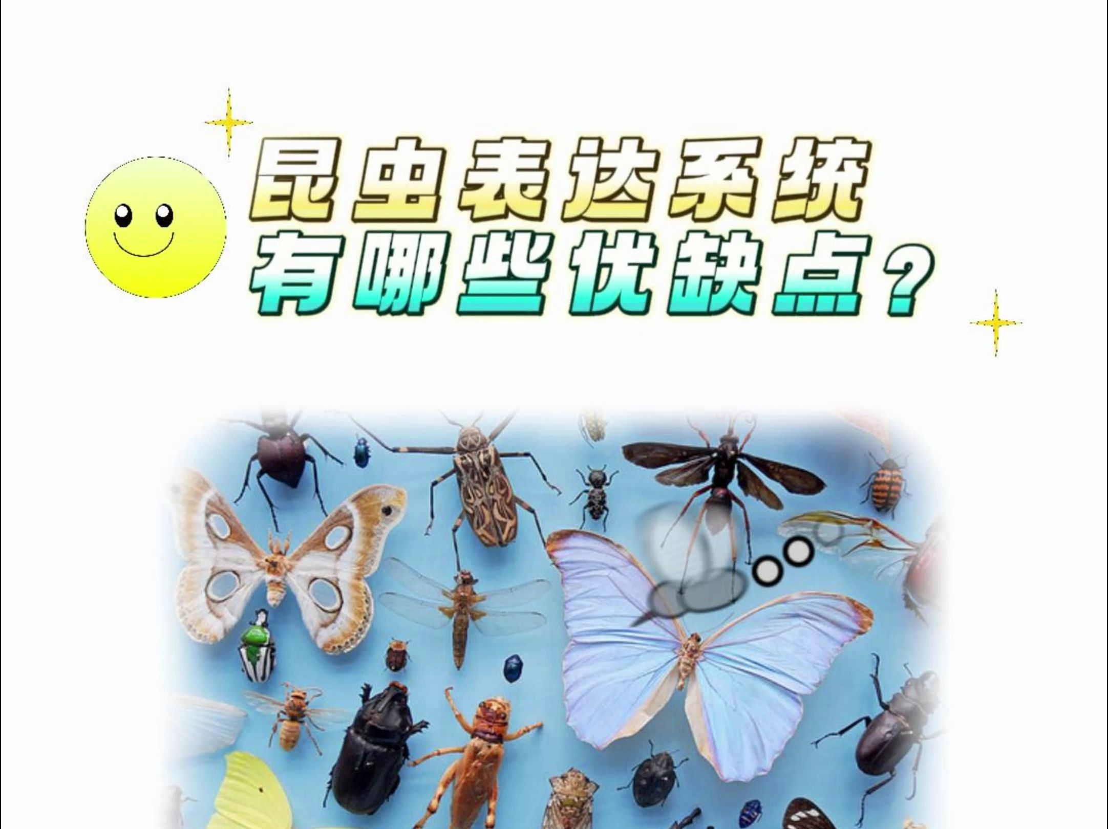 昆虫表达系统有哪些优缺点?哔哩哔哩bilibili