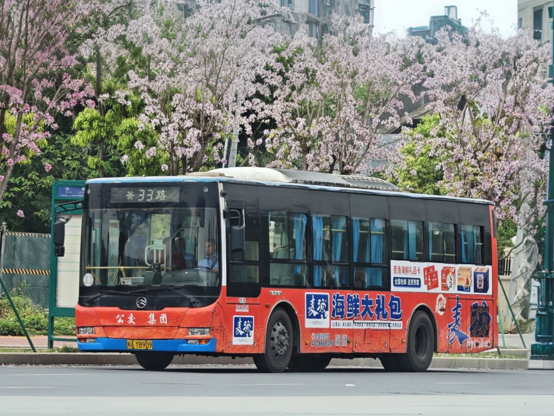 福州公交33路pov(公交仁德站→白沙)