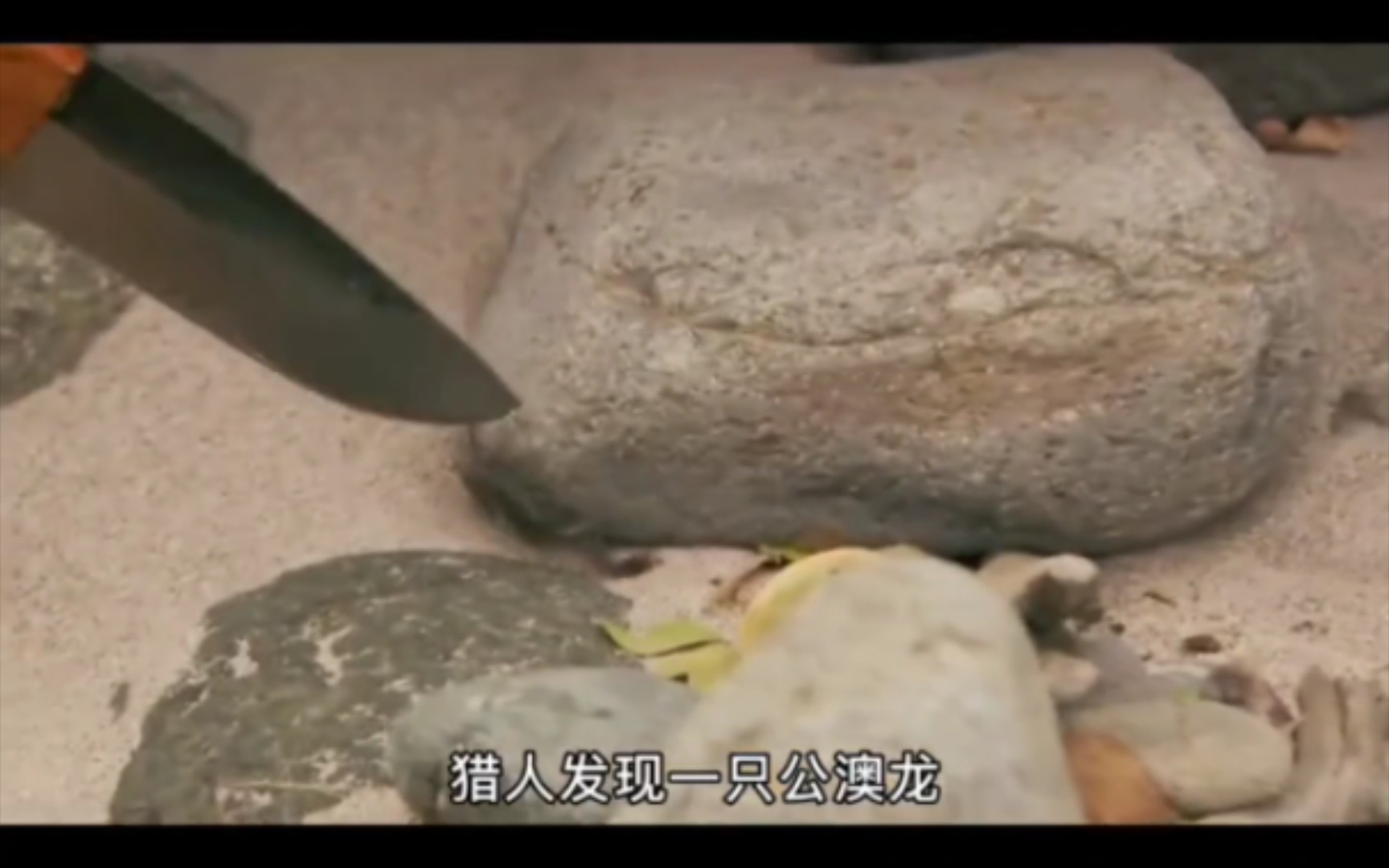 《丛林野食王》猎人吃的最好的一次