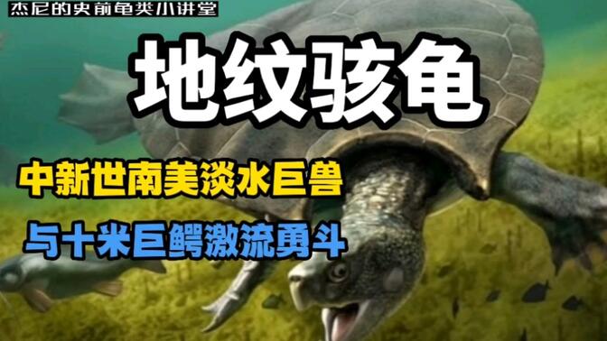 聊一聊中新世南美淡水侧颈巨兽,与普鲁斯鳄激流勇斗的地纹骇龟(史前龟