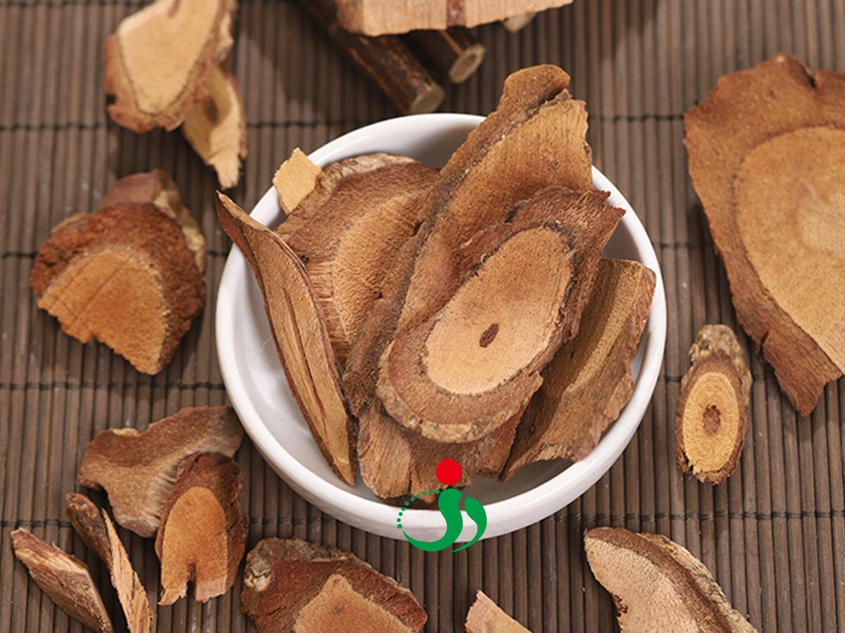 钻山风——来自于井冈山野生道地药材,药效强劲,祛风除湿,散瘀镇痛