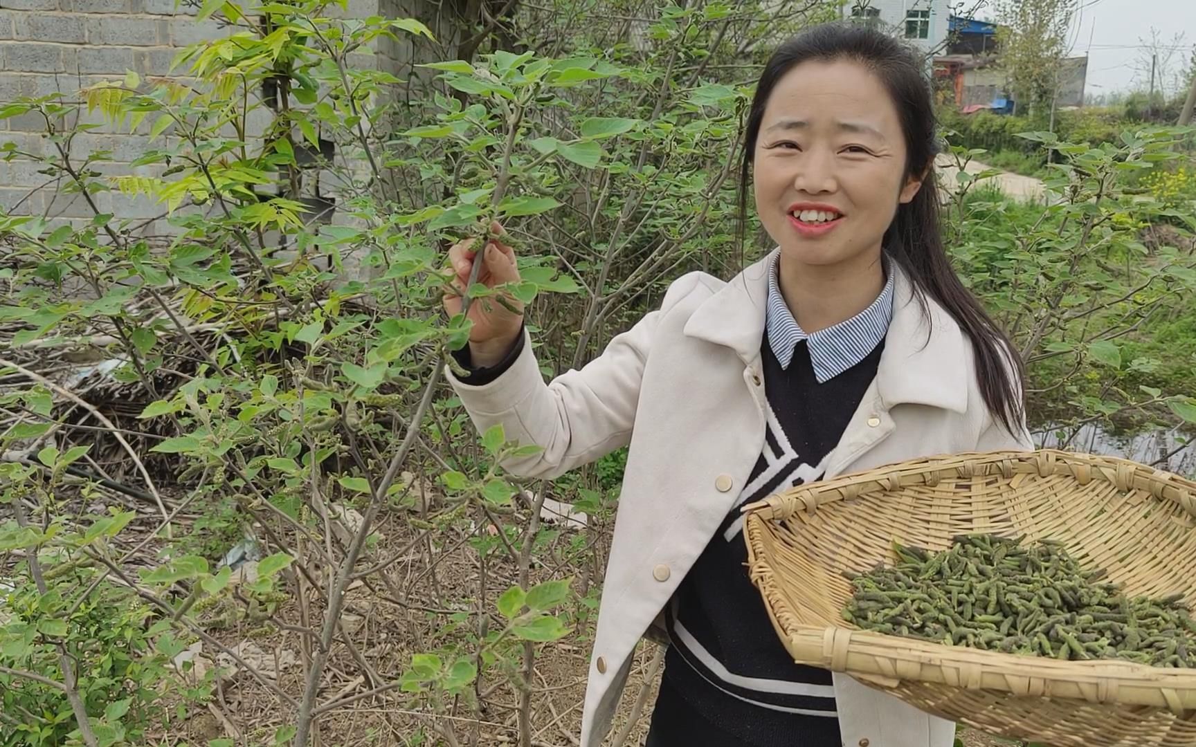 小峰采摘新鲜构树花穗,拌面蒸10分钟,淋上蒜汁鲜香软糯真好吃哔哩哔哩bilibili