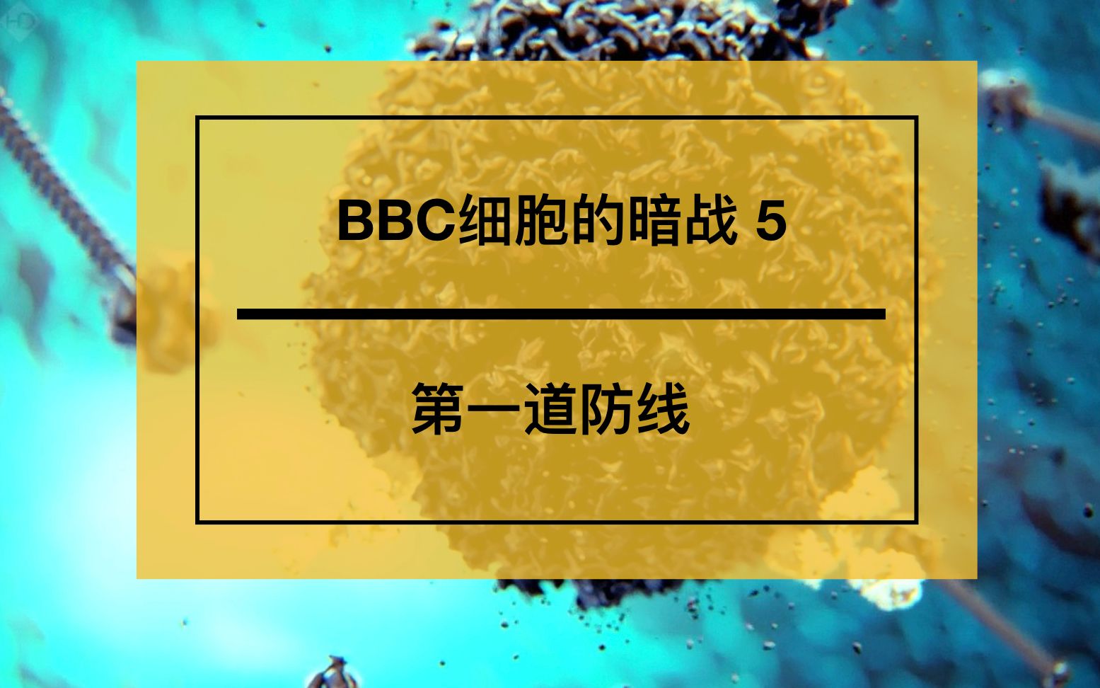 活动作品bbc人体奥妙之细胞的暗战5第一道防线
