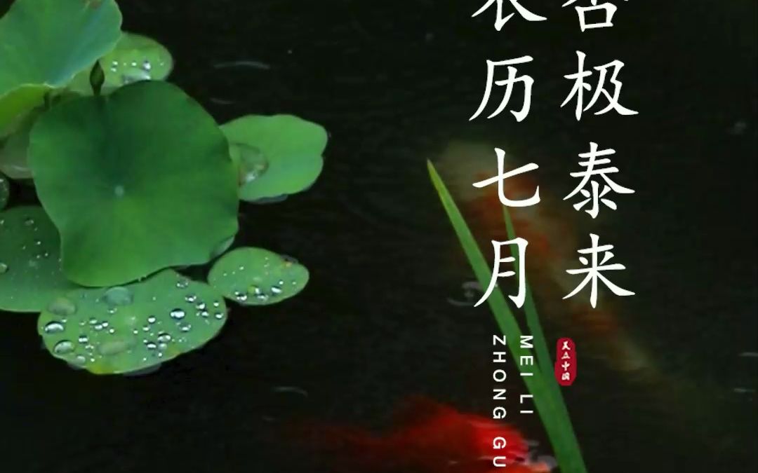 农历七月,癸卯兔年已过半,顺遂如意常相伴.