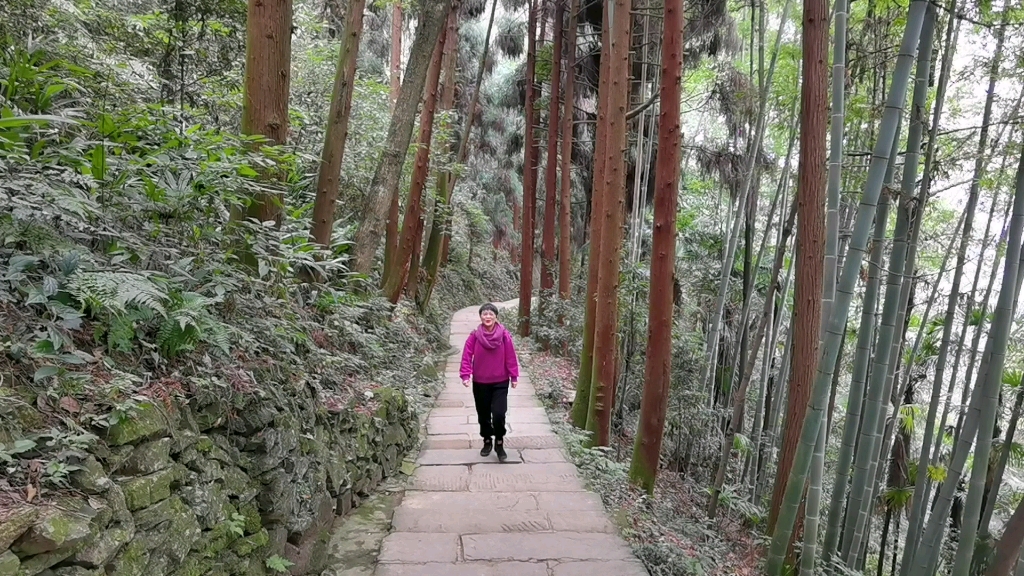 乐山本地人的峨眉半山一日游,仙山净水寺庙,滤去浮躁的好地方.哔哩哔哩bilibili