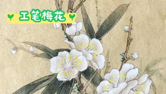 Download Video: 工笔画教程之梅花画法（下）——上色教程！背景配上竹叶更淡雅～