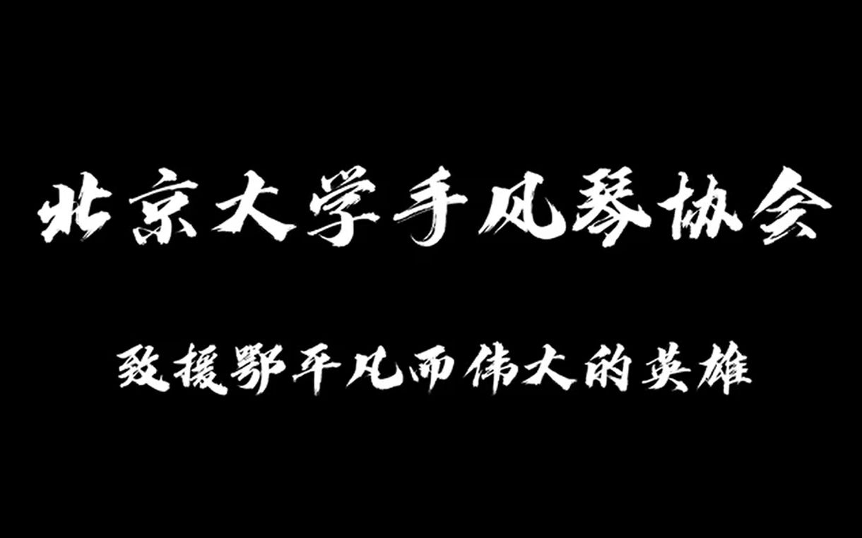 只要平凡  北京大学手风琴协会致敬援鄂英雄哔哩哔哩bilibili