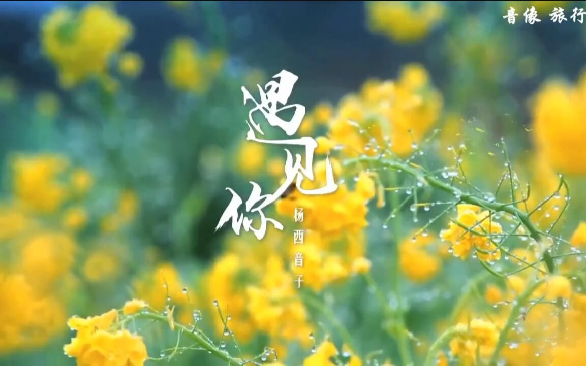 [图]遇见你-杨西音子