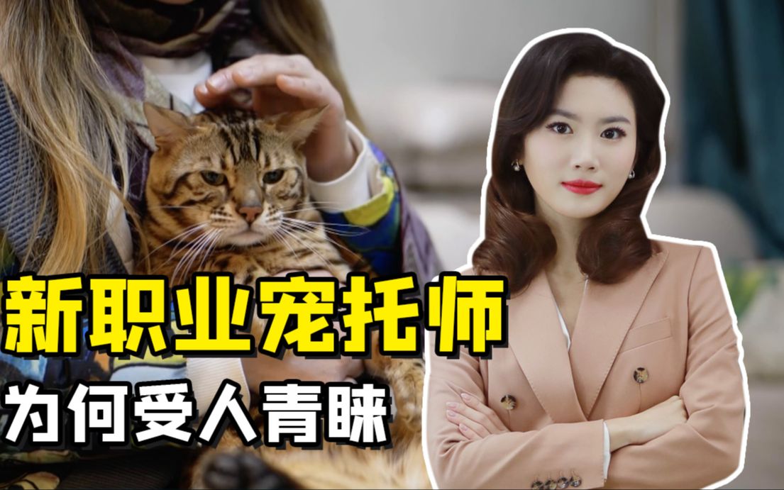 聚焦三农丨新职业宠托师为何受人青睐