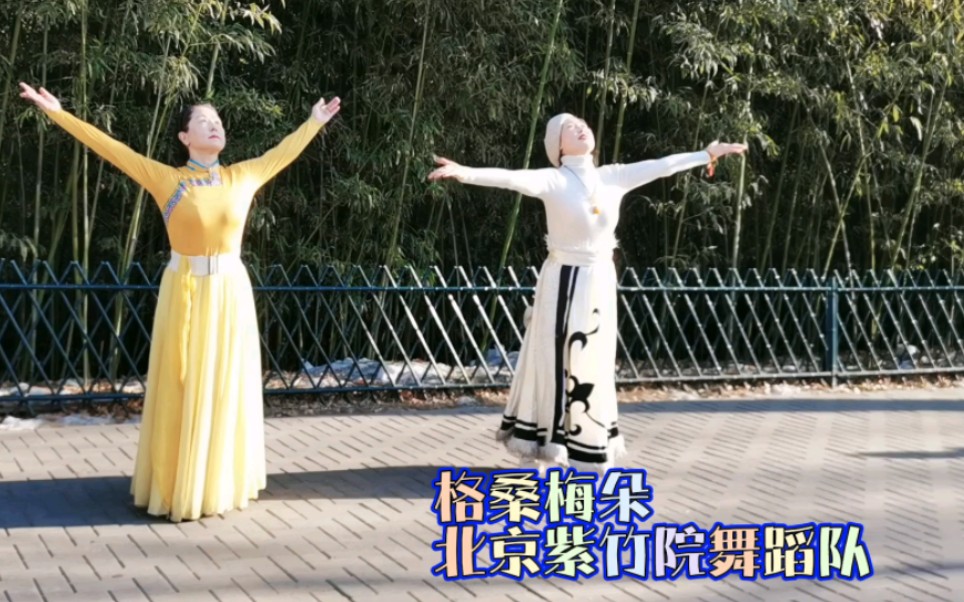 北京紫竹院舞蹈隊《格桑梅朵》.