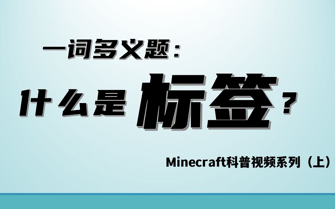 一词多义:什么是“标签”?(一)【Minecraft科普】我的世界