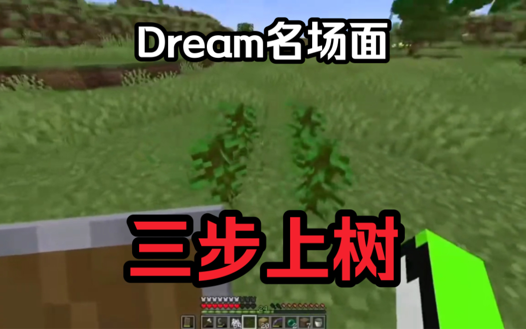 【Dream名场面】三步上树!网络游戏热门视频