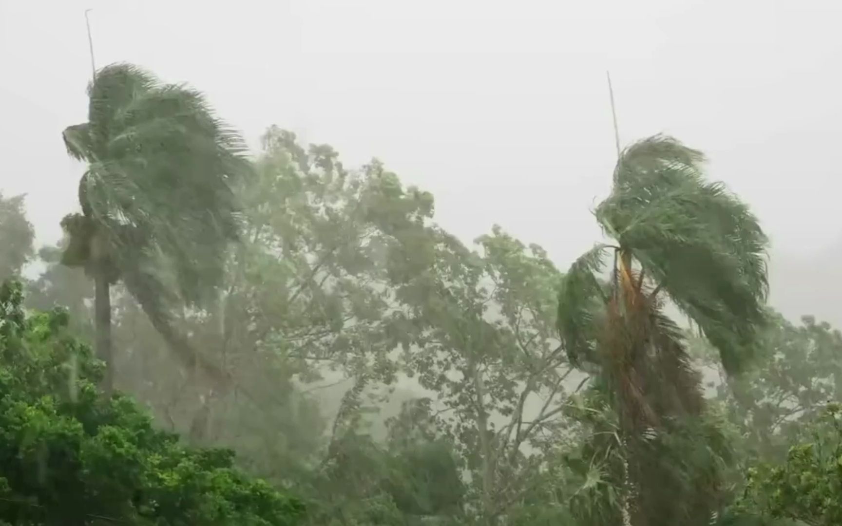 狂风暴雨大作,树木在风中摇摆不停