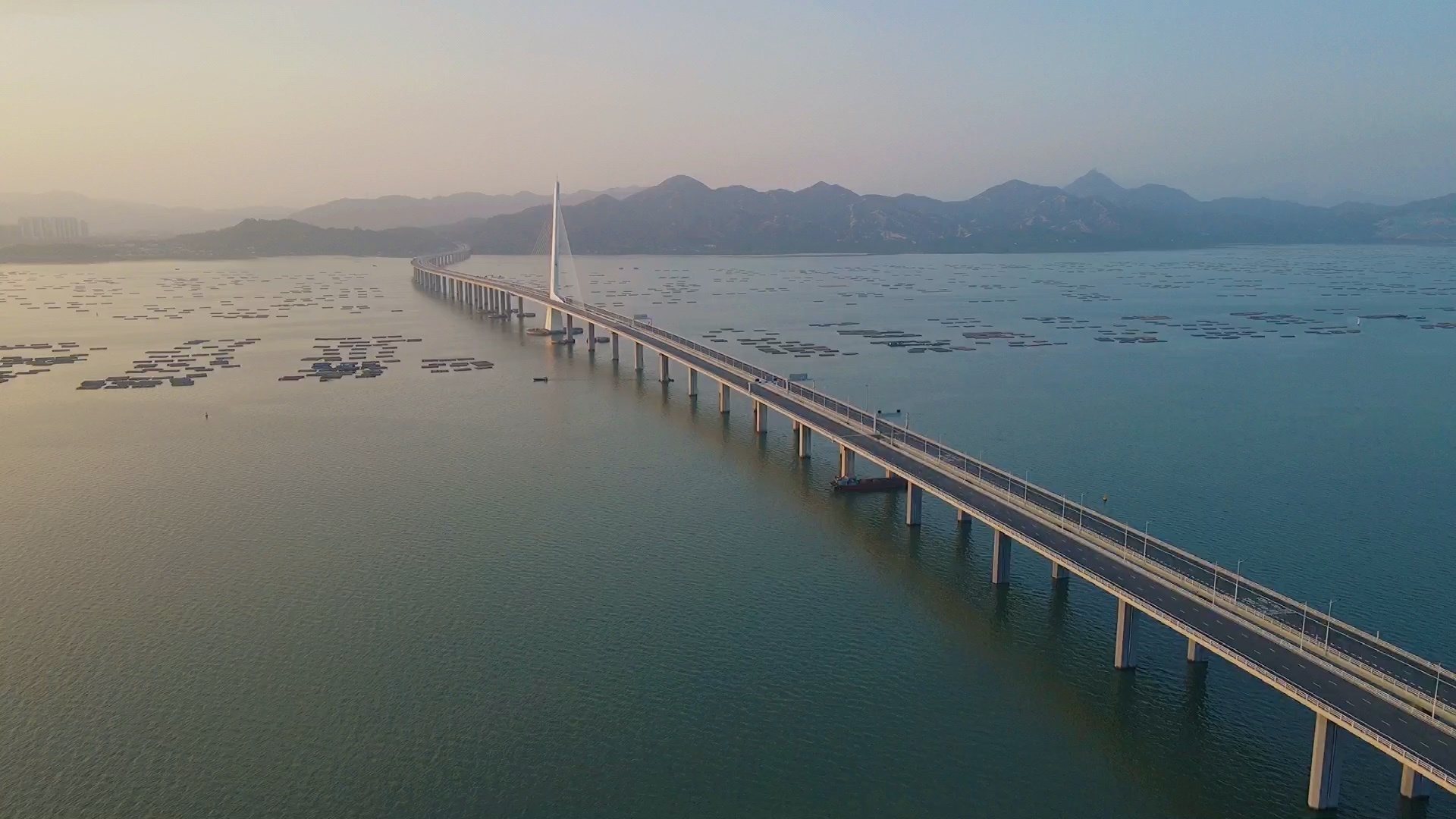 深圳湾跨海大桥无敌日出!连接着深圳和香港的最美大桥.