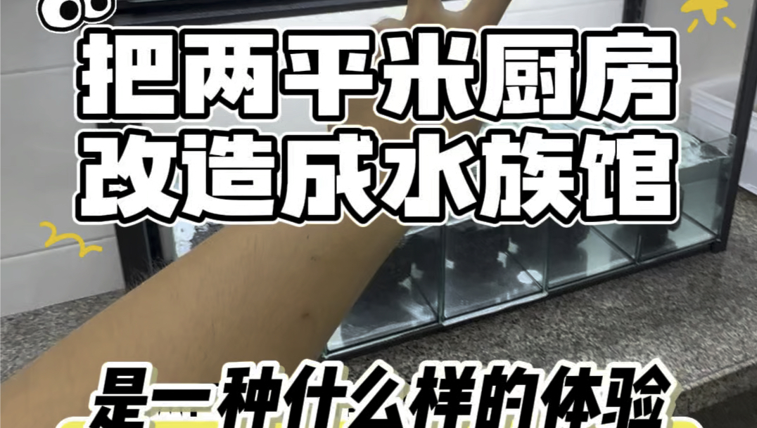 00后上班族不做饭,把两平米厨房改造成水族馆是一种什么样的体验?【4】胡子鱼到了,孔雀鱼大军就要到了,猜我买了多少#养鱼日记 #孔雀鱼 #胡子鱼...