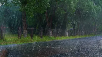 Descargar video: 【真实雨声】✅非常适合睡觉的大暴雨，在雷雨声中酣然入睡，放松减压助眠