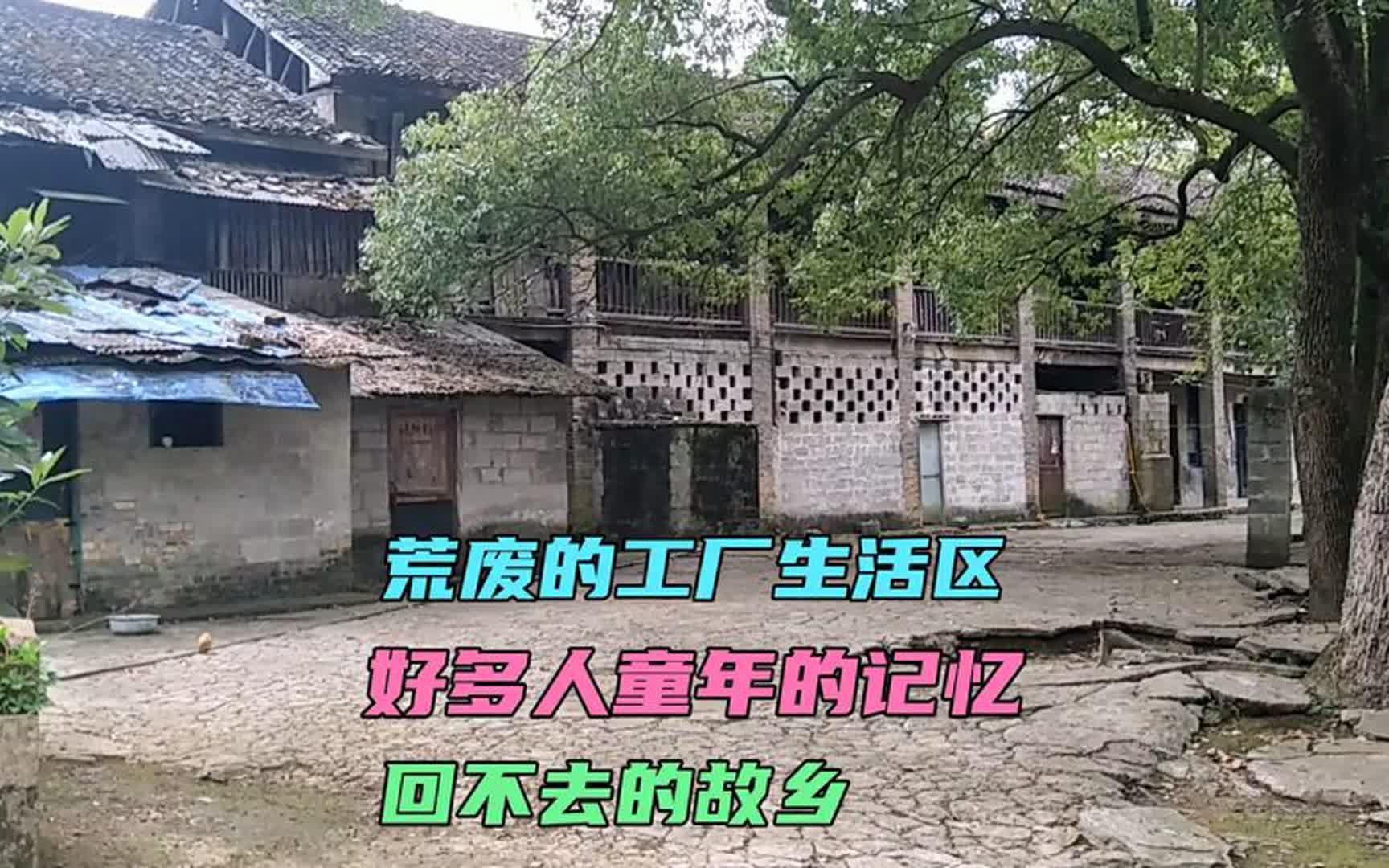 废弃30年工厂小区,居然还有几户人家,让这里,有最后的一丝尊严哔哩哔哩bilibili