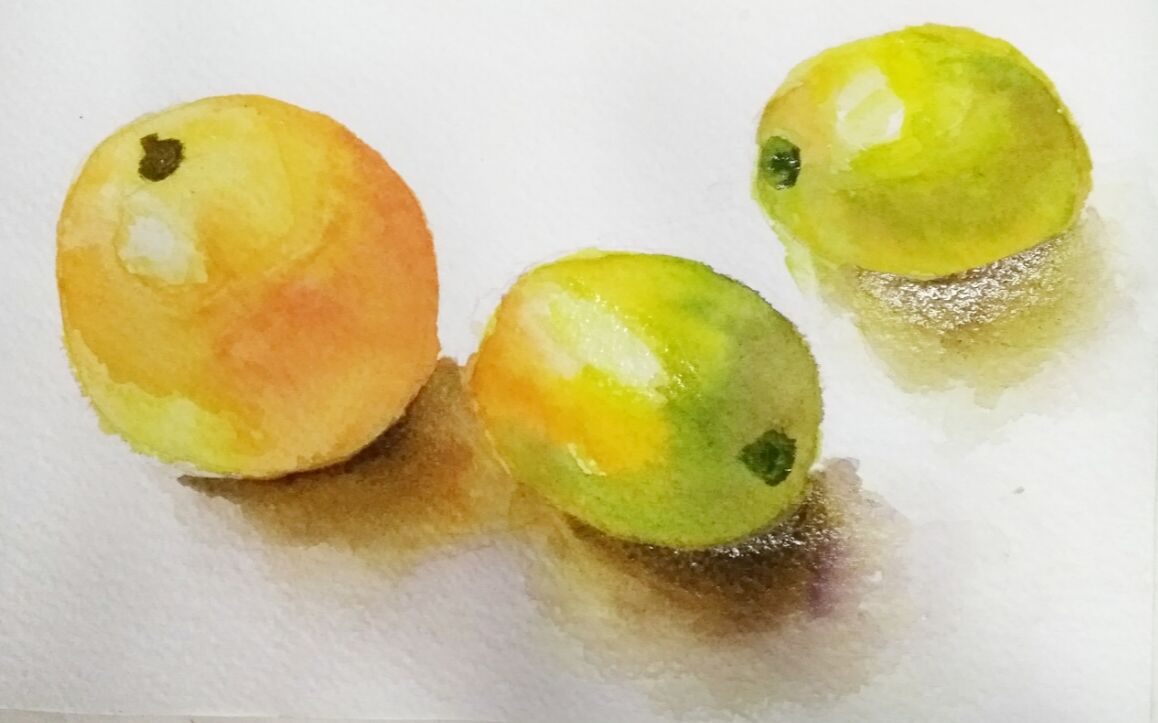 水彩临摹永山裕子水果静物组合