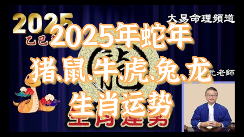 【2025蛇年乙巳年生肖运势】生肖猪、鼠、牛、虎、兔、龙综合运势.还会针对不同年次的朋友提供注意事项、贵人生肖、提升运势的方便法门,内容精心...