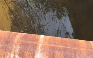 水草种类 搜索结果 哔哩哔哩 Bilibili 水草种类 搜索结果 哔哩哔哩 Bilibili