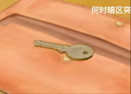 大金呢钥匙你会怎么选？