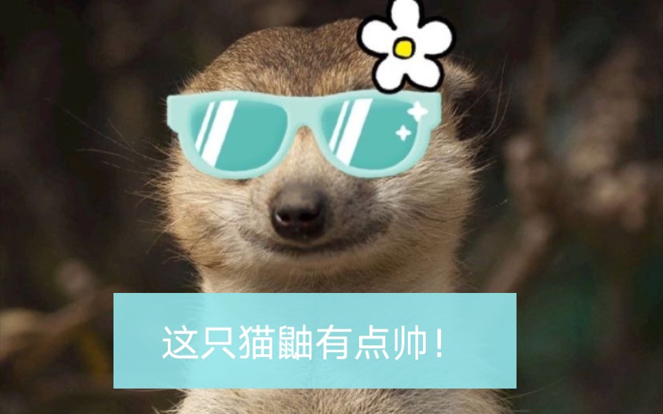 活动作品刘畅木法沙这个畅哥有点帅当然也可能不是一点63