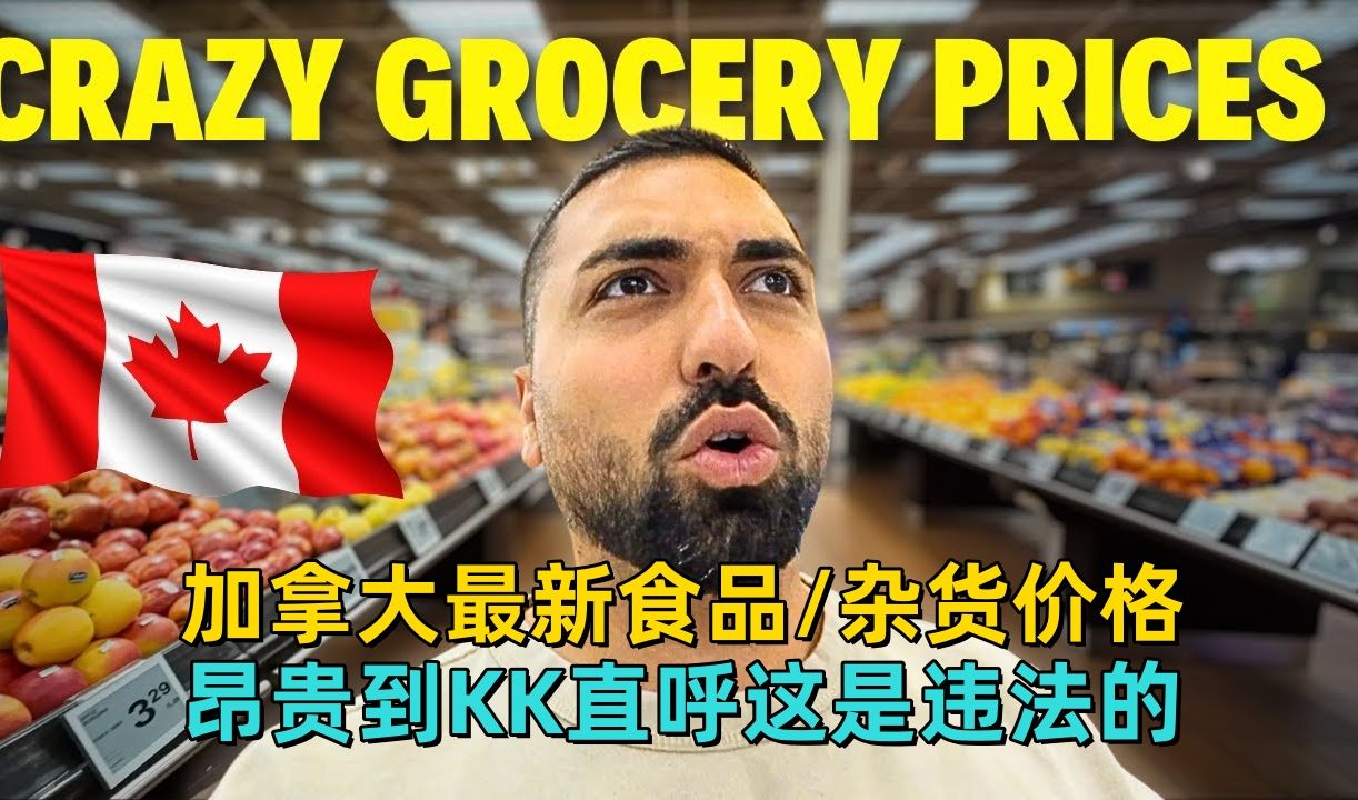 加拿大博主:2024 年加拿大食品杂货价格,昂贵到KK直呼这是违法的…哔哩哔哩bilibili